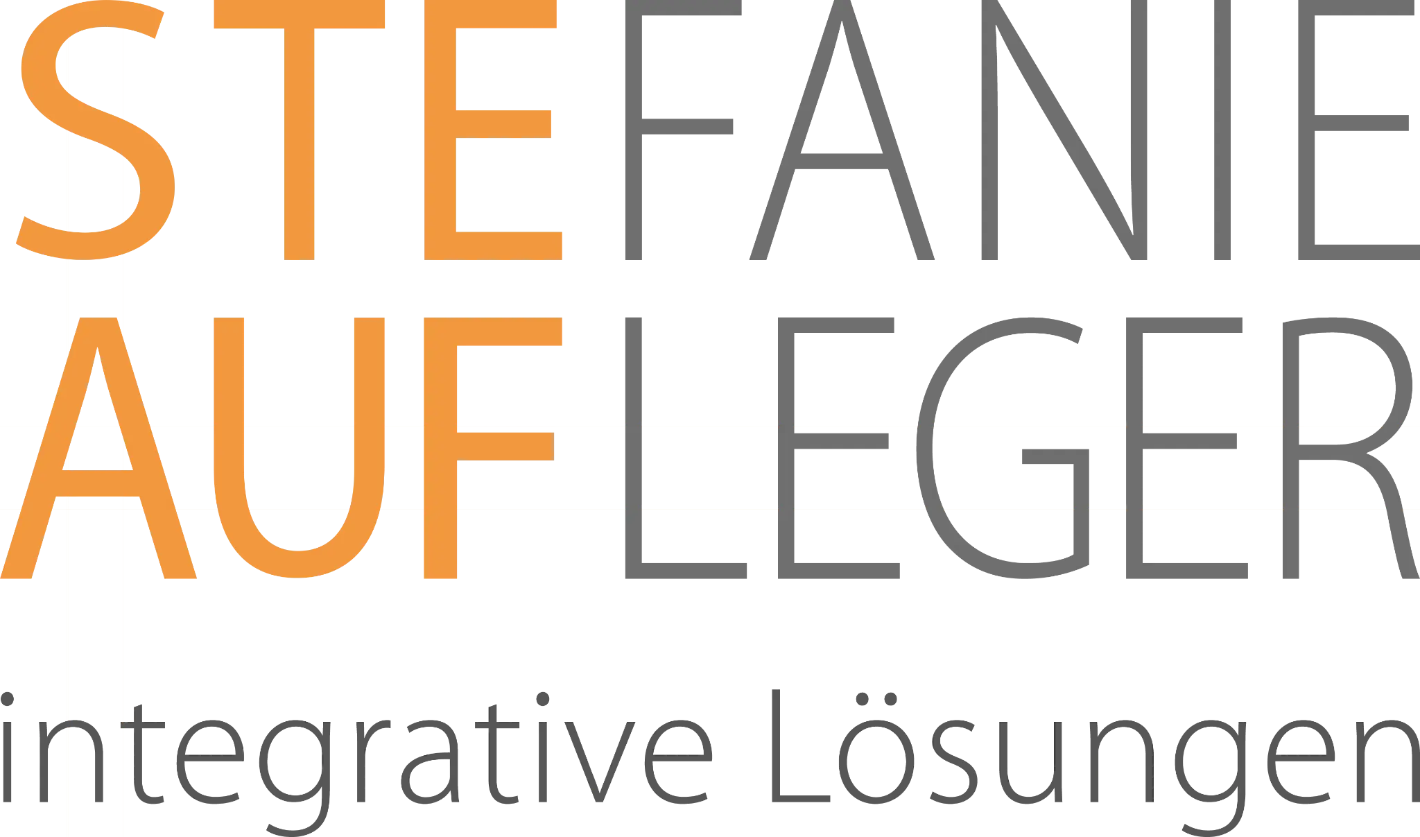 Logo STEAUF-Werkstatt